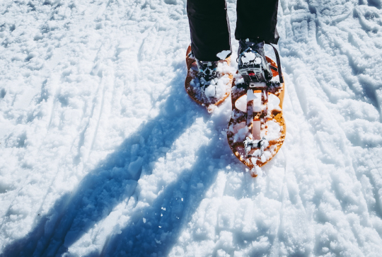 Top des activités neige à tester en famille à la montagne sans skier : raquettes