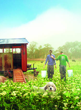 Tout est possible - visuel concours