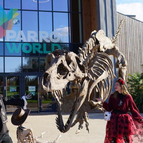 Parrot World - El Dia de Los Muertos