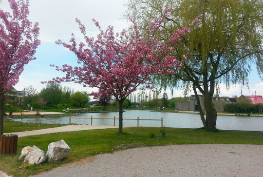 Parc Naturel Urbain Lomme