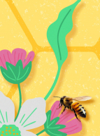 Fête du miel à Rennes