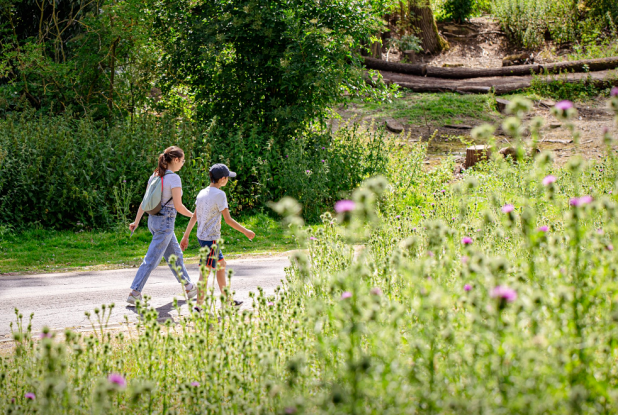 Parcs de la MEL : Balade