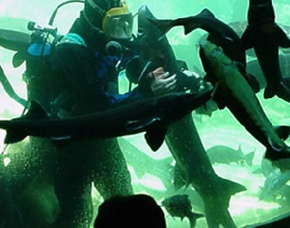 Aquarium du Perigord noir