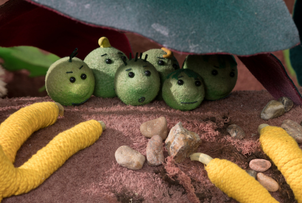 Les Petits pois : pates de poule