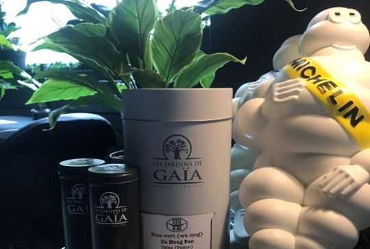 Rosa da Rua Bibendum