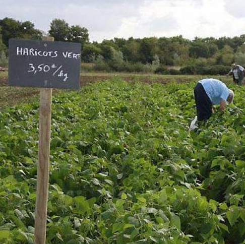 Ferme beau soleil Nantes