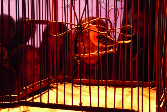 Fête des Lumières 2012