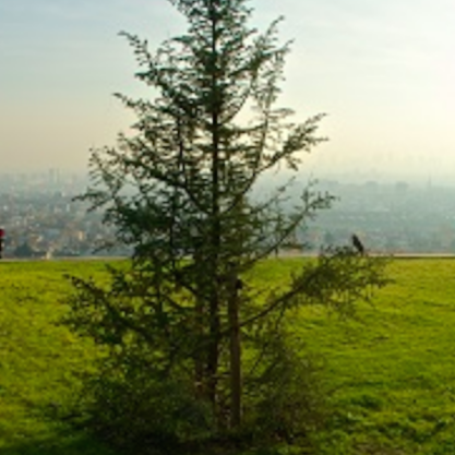 Butte des Châtaigniers