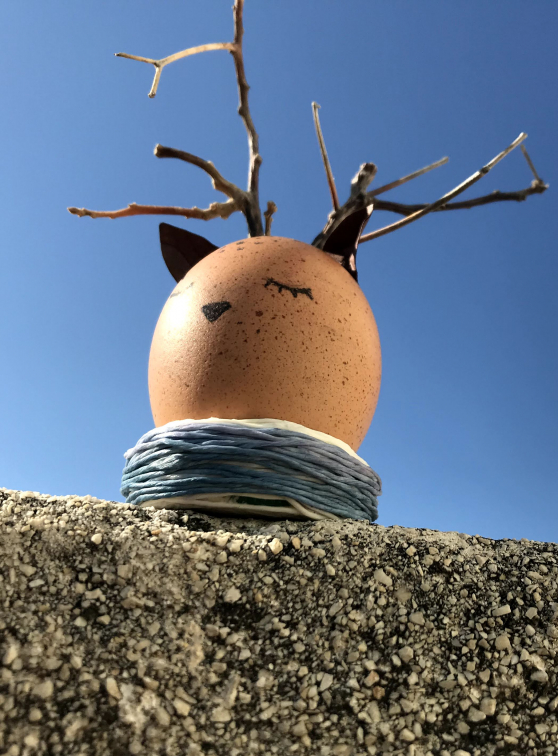 Atelier enfant - Oeufs