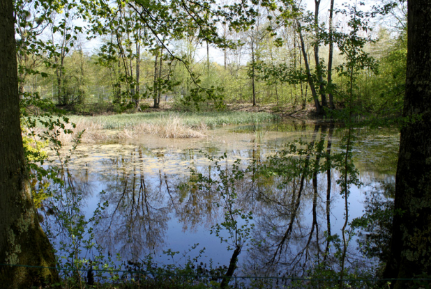 Parc des felins : nature