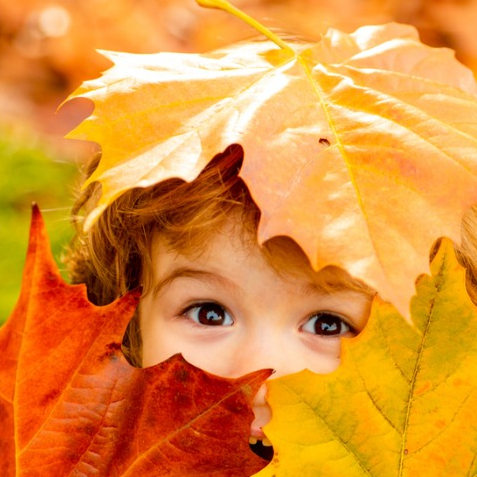Automne à Terres d'Oiseaux