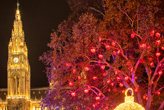 Le concert du Nouvel An - Orchestre national de Lyon : Cathédrale et arbre illuminés