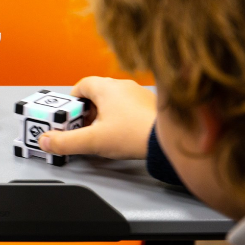 Crocos Go Digital Paris