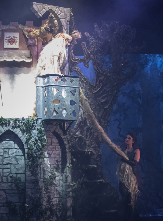 Raiponce et le prince aventurier - Guillaume Bauchède