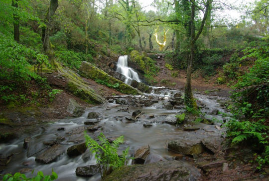 Forêt de Brocéliande - Val sans retour