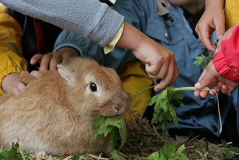 Ferme éducative AGF de Rhinau