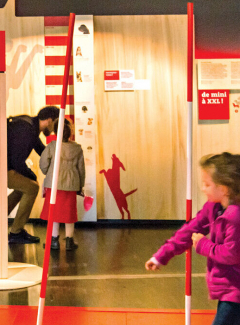 Expo Chiens et Chats à la Cité des sciences et de l'industrie