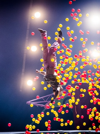 Super Sunday - Race Horse Company