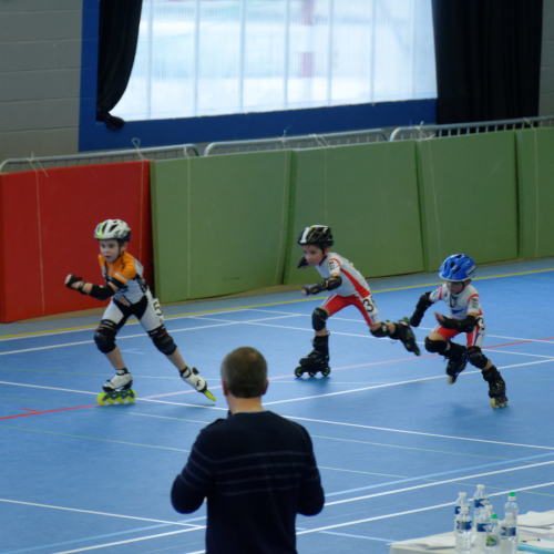 Les Guyverns de Blagnac Roller Hockey
