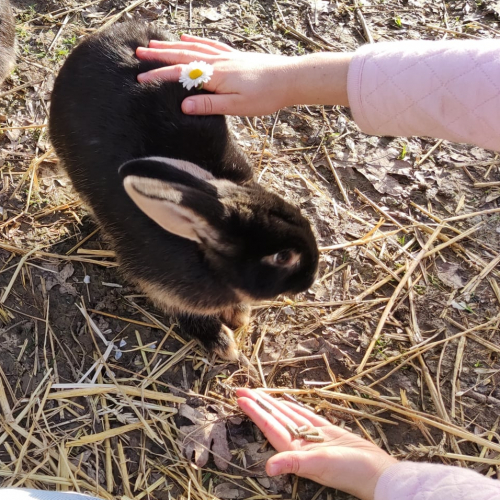 Ferme pédagogique de Cinquante