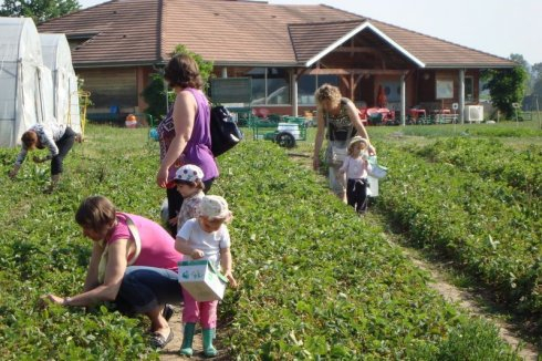 La Cueillette de l'Aragnon