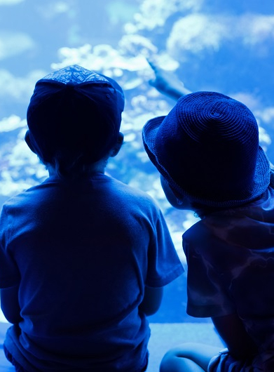Vacances de printemps 2024 à l'aquarium de Lyon