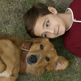 Mes Vies de Chien : un garçon et son chien