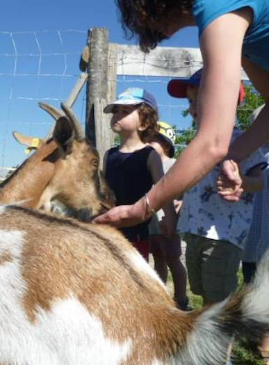 ZouZou Parc : animaux