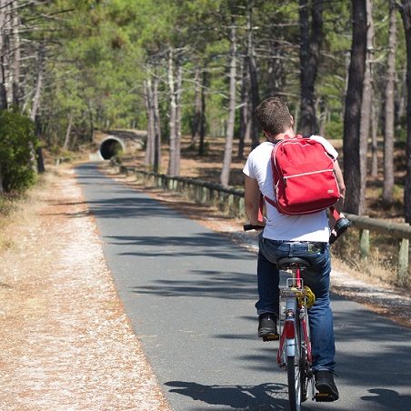 Voie verte de Bordeaux à Lacanau-Océan