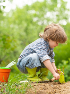 Adobe Stock - enfant jardinage