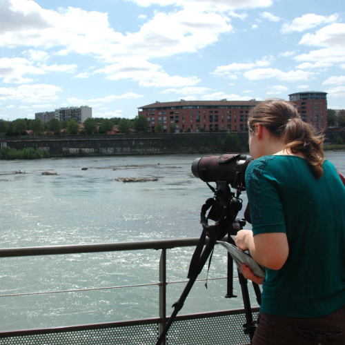 Journée d'observation de la nature à l'espace EDF Bazacle