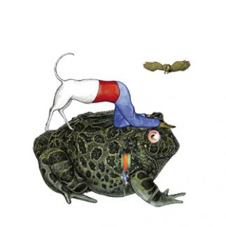 Platée raconté aux enfants