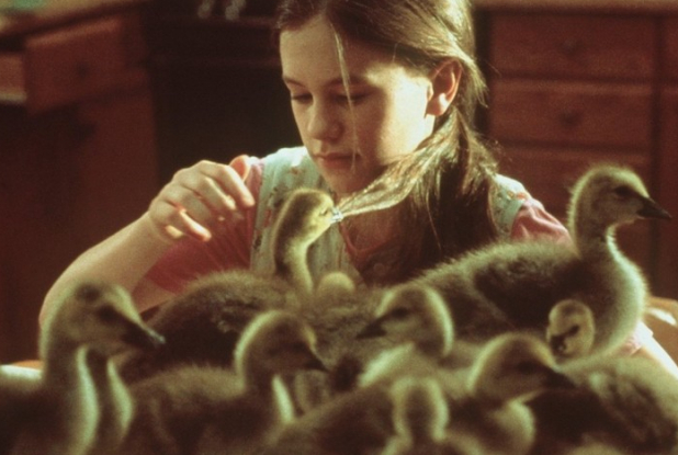 L'Envolée sauvage : Anna Paquin