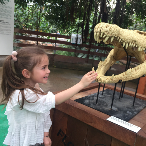 Suivez une famille à la Ferme aux Crocodiles
