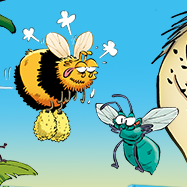 concours BD bamboo été 2021