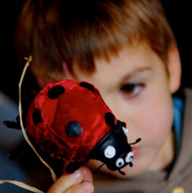 Petites bêtes à tous les étages