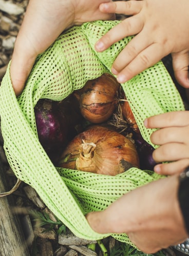 L'Hérault fête le bio