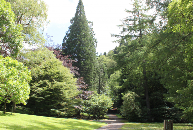 Parc Fenestre la Bourboule