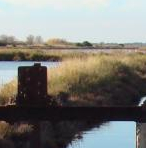 Les mercredis de l'été