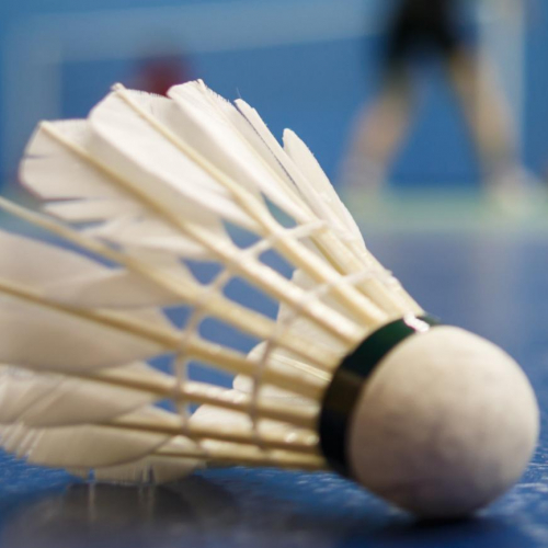 Don Bosco Badminton Nantes