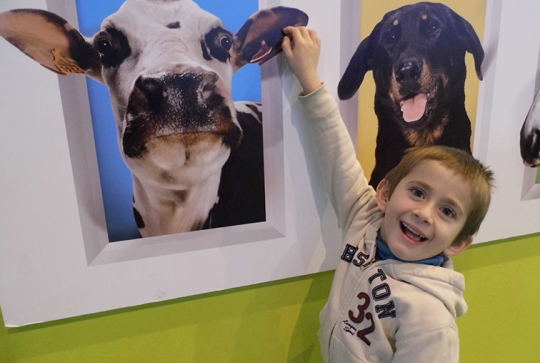 salon agriculture 2013