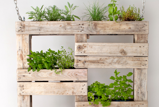 Jardin vertical