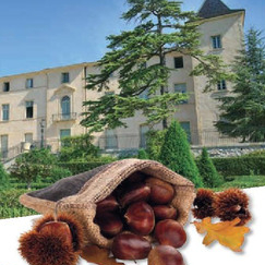 Terres d'octobre