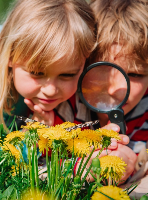 Animation au parc Vaugrenier, des enfants observent un papillon