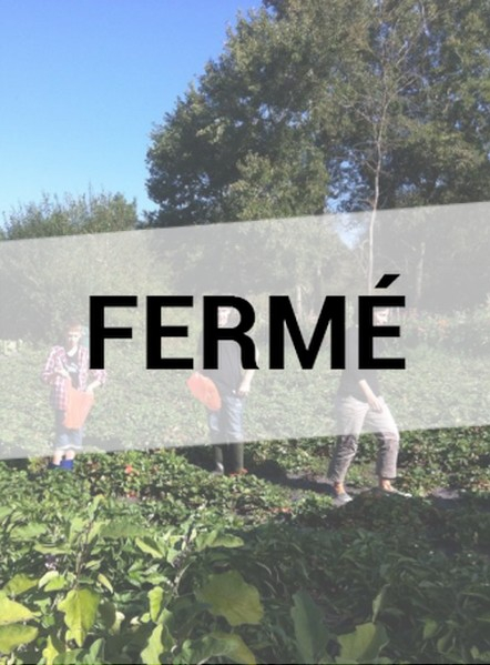 Bio Zen Garden - Fermé