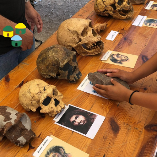 Journées européennes de l'archéologie : Analyse d'ossements