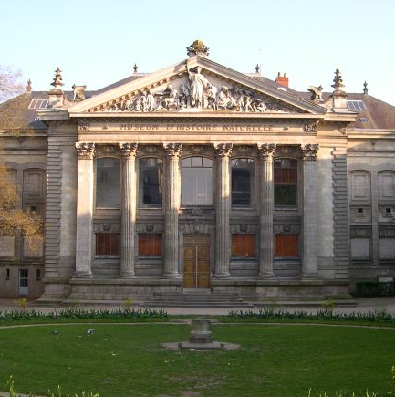 Muséum d'Histoire Naturelle de Nantes