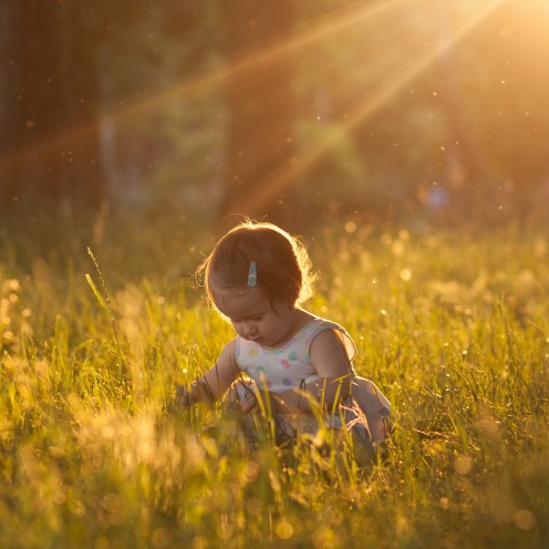 Le jardin des légendes