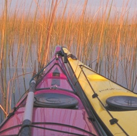 Canoë-kayak sur la Leyre