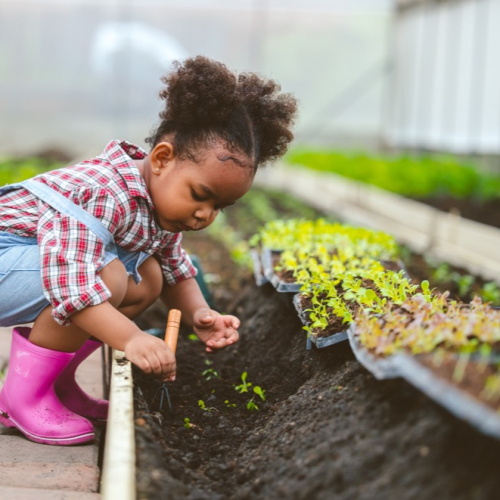 Photo d'enfant plantant des fleurs